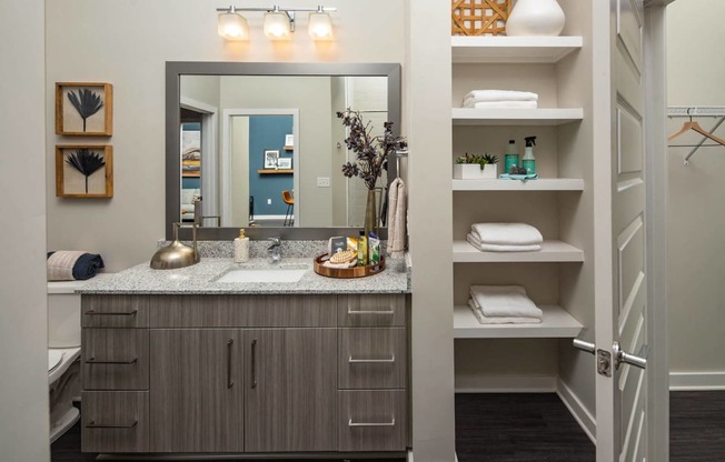 a bathroom with a vanity and a mirror and a closet