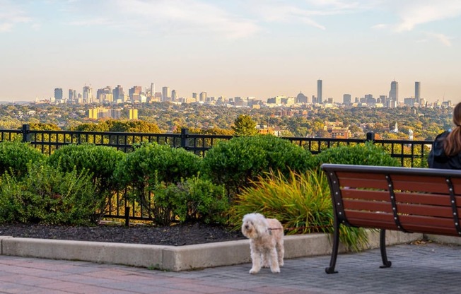 Outdoor Entertainment Areas 2