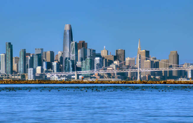 Close proximity to the Bay and 18 minutes from San Francisco via ferry.