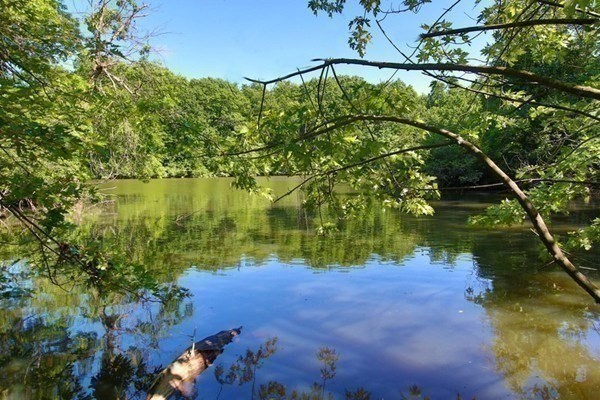 2 beds, 2 baths, 900 sqft, $3,800, Unit 201