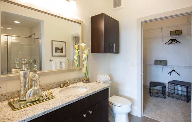 Arabelle Perimeter Luxury Apartments in Atlanta, GA 30328 photo of a bathroom with a sink and a toilet and a mirror