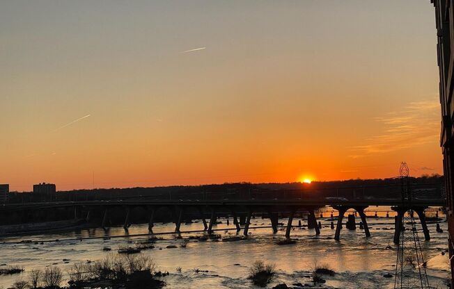 1 bed, 1 bath, $1,600