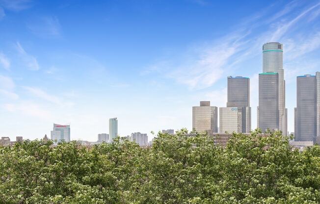 a city skyline with trees in the foreground