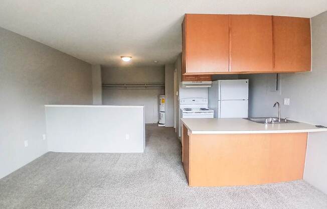 A kitchen with a sink and a counter.