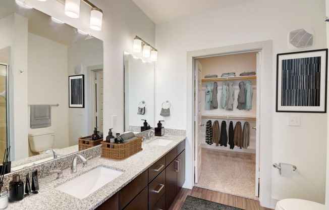 a bathroom with a sink and a mirror and a closet