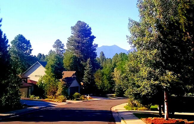 Fully Furnished West-Flagstaff House (Aspen Trails)- 3 Bed, 2 Bath Home -Students & Dogs OK! Avail. Now!