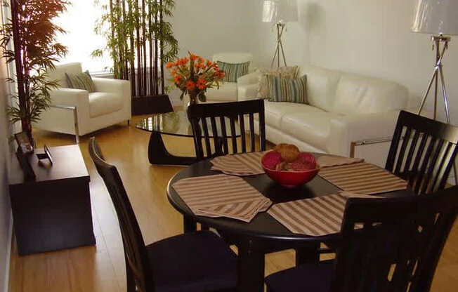 Apartment Living Reimagined