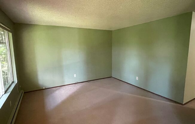 1 bed, 1 bath, 600 sqft, $1,300