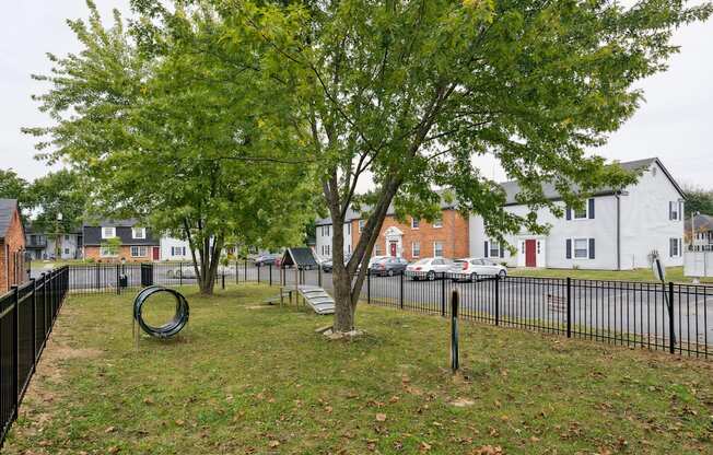 A tree in a yard with a black fence.