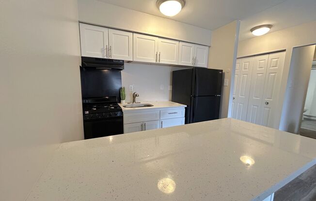 1 bed, 1 bath, 700 sqft, $1,239, Unit 105