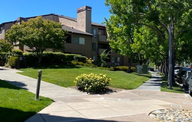 Gorgeous Monte Merano Condo for rent