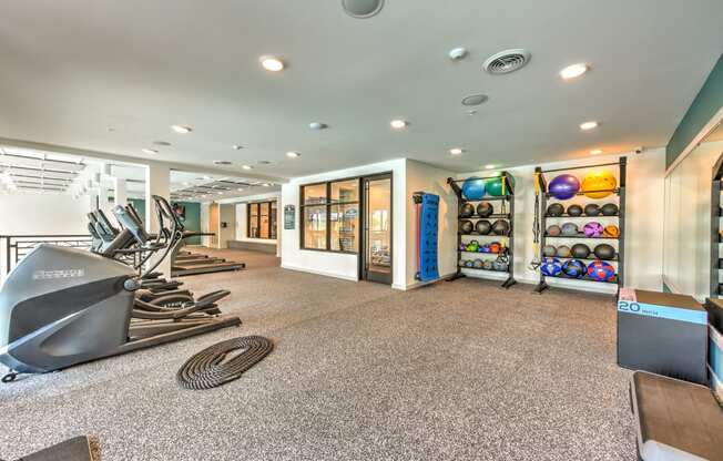 the gym at Pinnacle Apartments, Jacksonville, FL, 32256