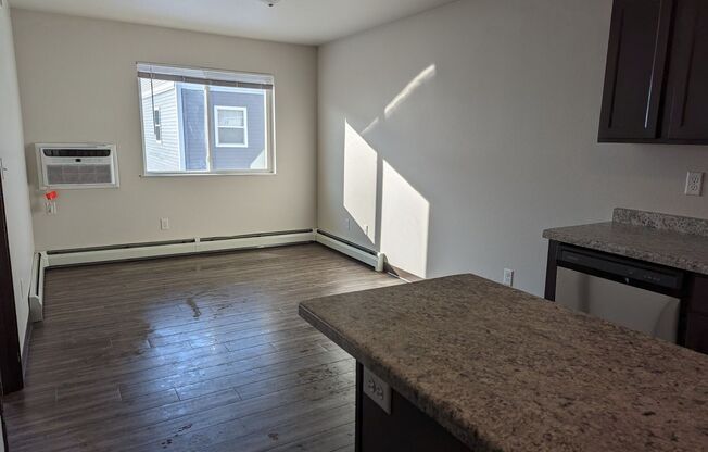 1 bed, 1 bath, 530 sqft, $925, Unit 408