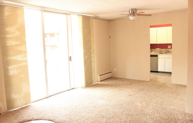 Quiet Westside Condo- Most Utilities included in Rent! 900 Saturn Drive #205