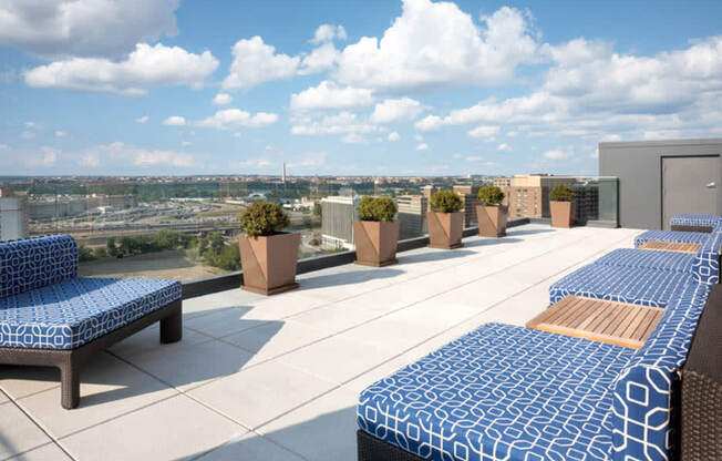 a rooftop terrace with blue and white patterned lounge chairs and potted plants at The Millennium, Arlington, 22202