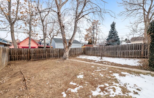 Beautiful Home in Platte Park