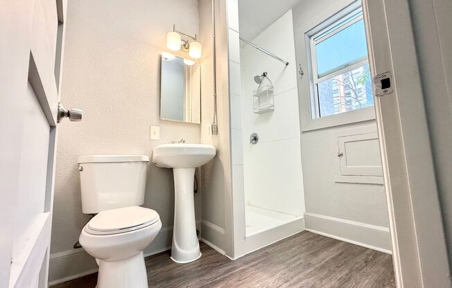 Studio, 1 bath, 237 sqft, $995, Unit 206