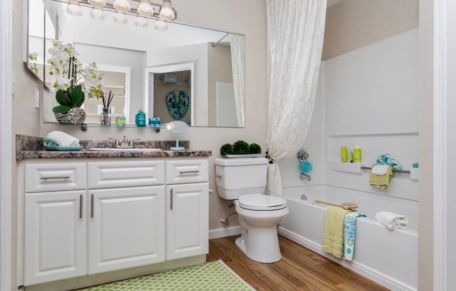 a bathroom with a toilet and a sink and a mirror