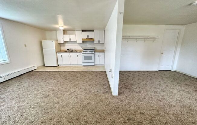 Studio, 1 bath, 500 sqft, $895, Unit 01