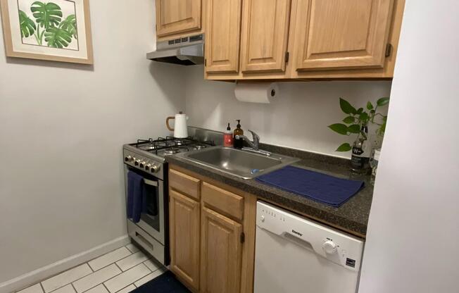 1 bed, 1 bath, $3,700, Unit 3D