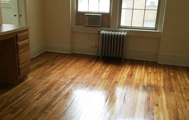Studio, 1 bath, 240 sqft, $1,125, Unit 616