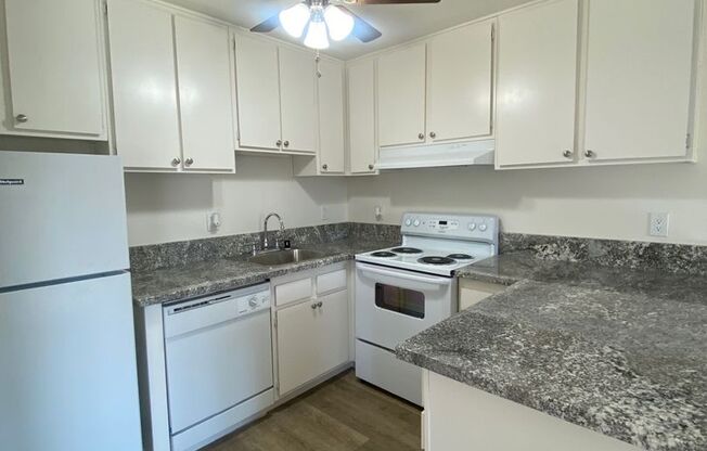Studio, 1 bath, 436 sqft, $1,225, Unit 38