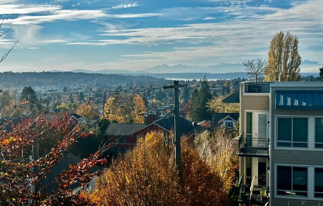 Studio, 1 bath, 294 sqft, $1,178, Unit 316