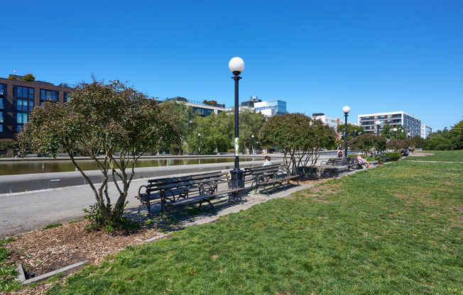 Jog, Stroll, or Bike at Cal Anderson Park