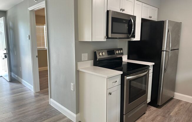 1 bed, 1 bath, $1,250, Unit 1