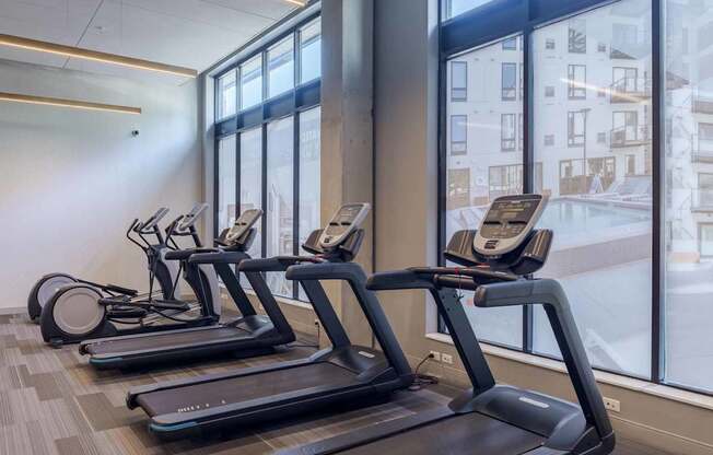 A row of treadmills are lined up in a gym.