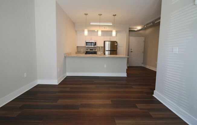 1 bed, 1 bath, 534 sqft, $1,495, Unit APT 310