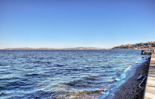 Location, Location, Location! - Modern one bedroom near Alki Point Lighthouse