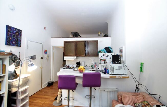 1 bedroom in  great location in Fairmount- Available August 1st