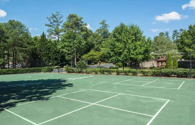 Sports Court at Dunwoody Pointe Apartments in Sandy Springs, Georgia, GA 30350