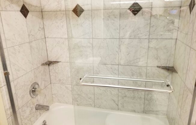 Studio, 1 bath, 250 sqft, $1,245, Unit 202