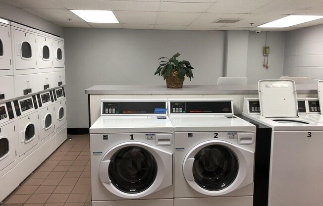 1 bed, 1 bath, 670 sqft, $1,900, Unit 4G