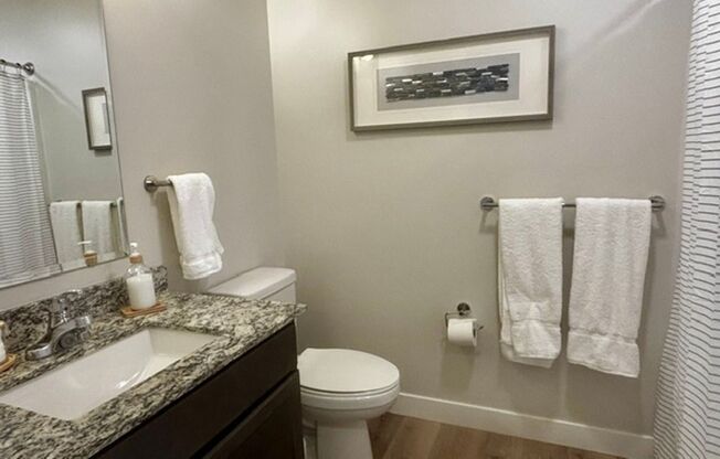 Studio, 1 bath, 325 sqft, $1,274, Unit 419