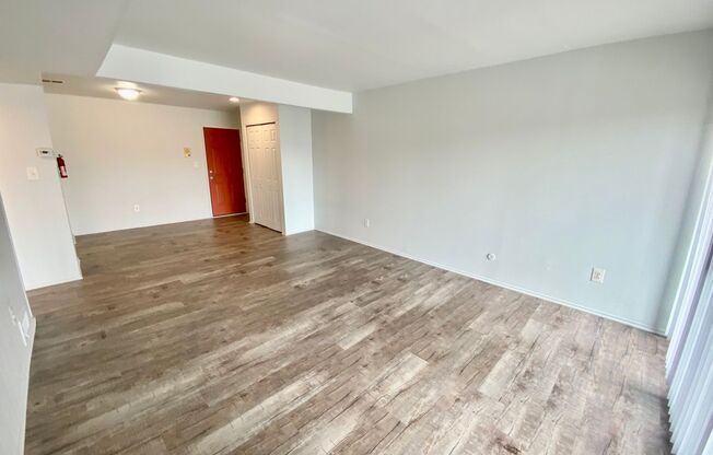 1 bed, 1 bath, 700 sqft, $1,095, Unit #302