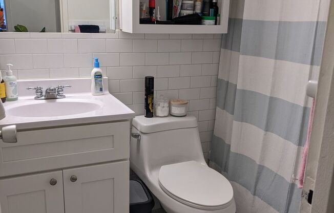 1 bed, 1 bath, 606 sqft, $3,000, Unit 1704