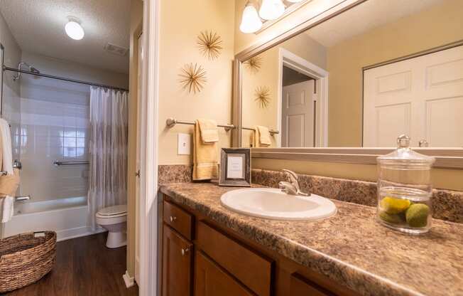 Apartment bathroom counter and sink with bathtub in Blue Ash, OH