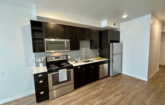 1 bed, 1 bath, 509 sqft, $2,100, Unit Unit 305