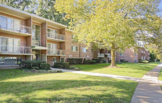 A tree with yellow leaves is in front of apartment buildings.