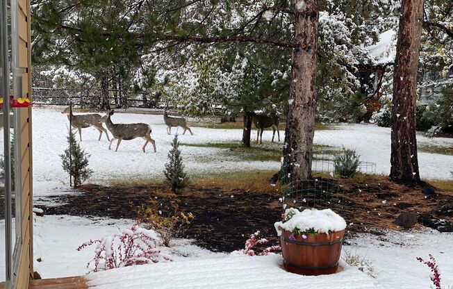 County Setting in NW Bend - 3 Bedroom / 2 Bathroom