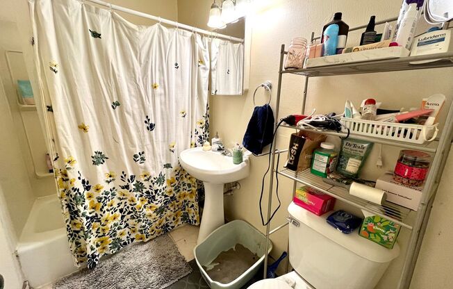 Studio, 1 bath, $750, Unit 305