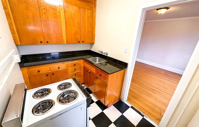 Studio, 1 bath, 365 sqft, $1,195, Unit 209