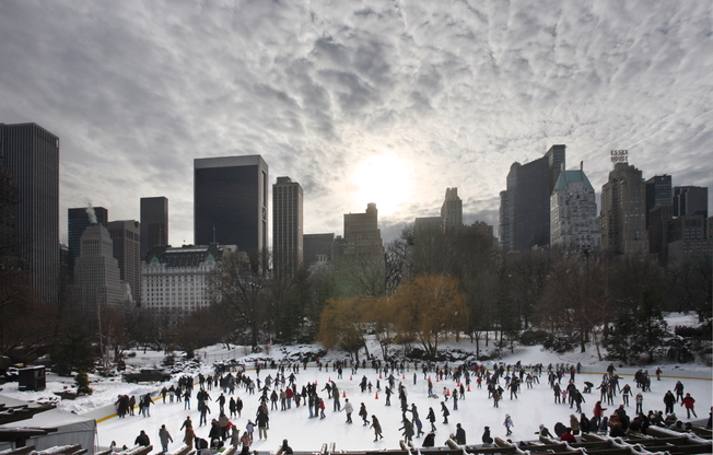 2 beds, 2.5 baths, $9,100, Unit 12J