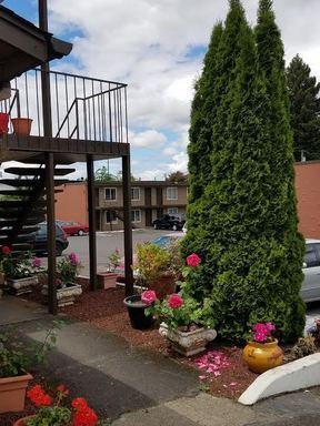 1 bed, 1 bath, 450 sqft, $1,195, Unit 258
