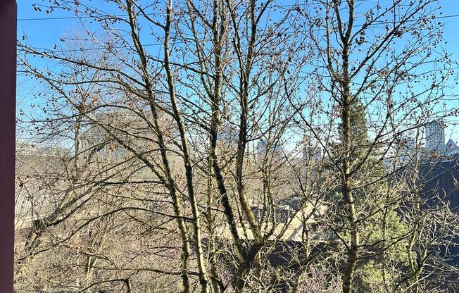 1 bed, 1 bath, 646 sqft, $1,450, Unit 403