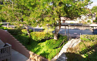 a park with trees and bushes and a street in the background