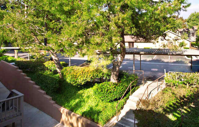 a park with trees and bushes and a street in the background